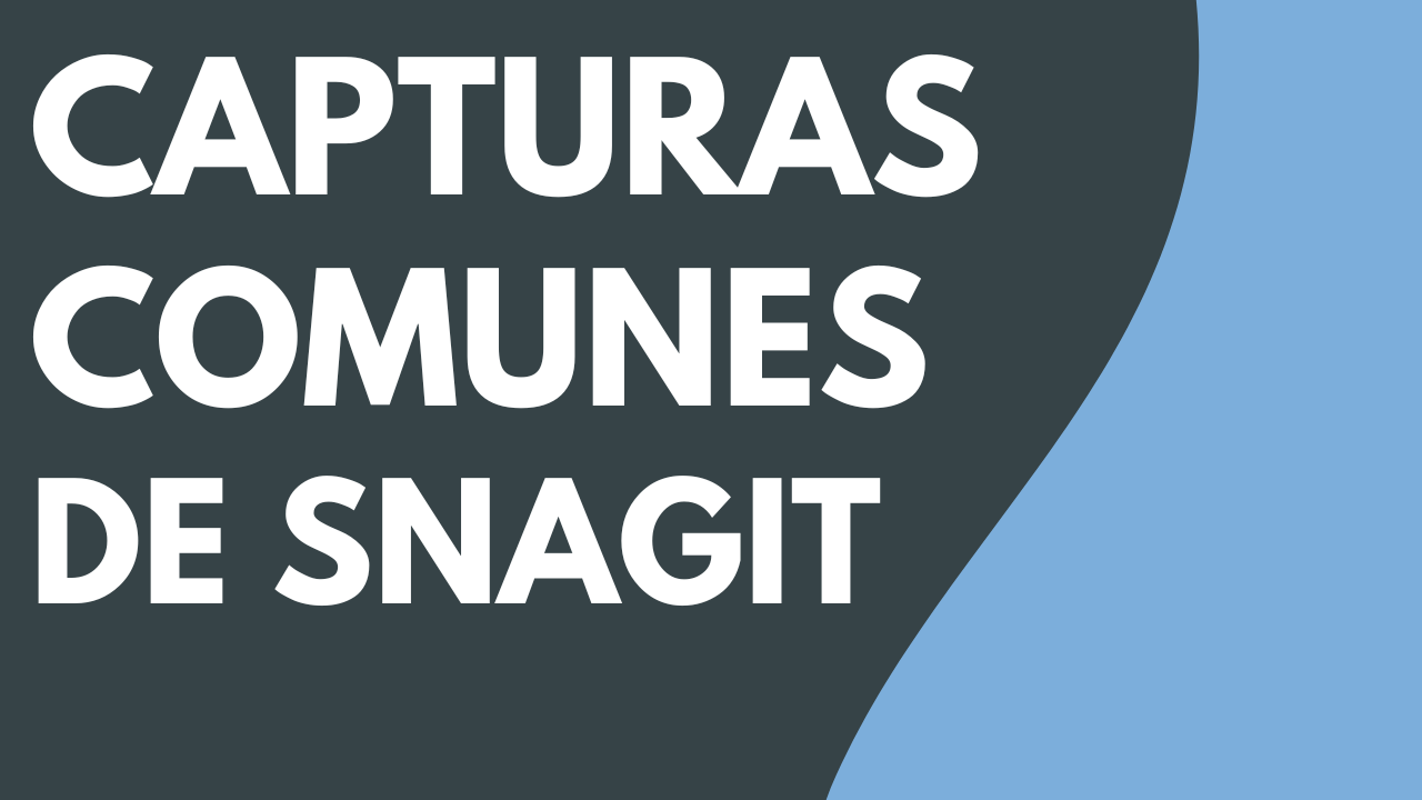 Capturas comunes de Snagit