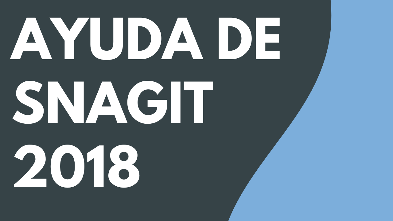 PDF de Ayuda de Snagit 2018