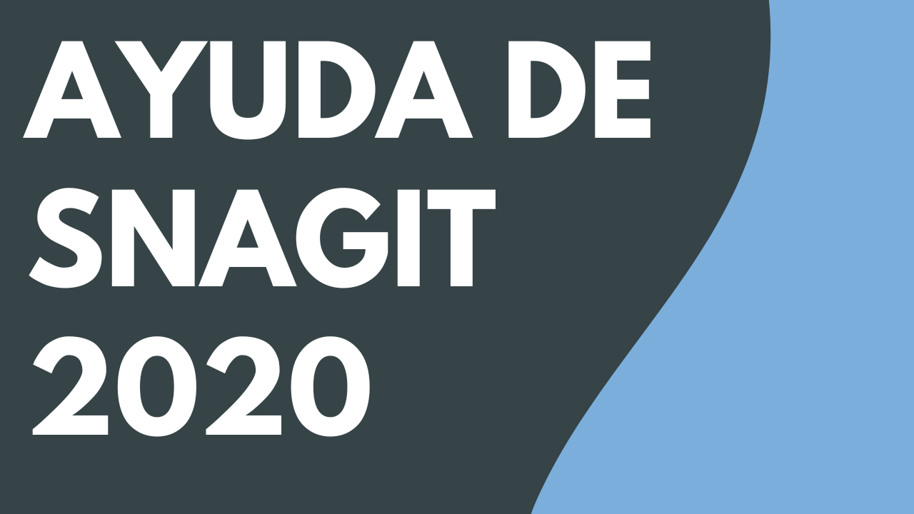 PDF de Ayuda de Snagit 2020