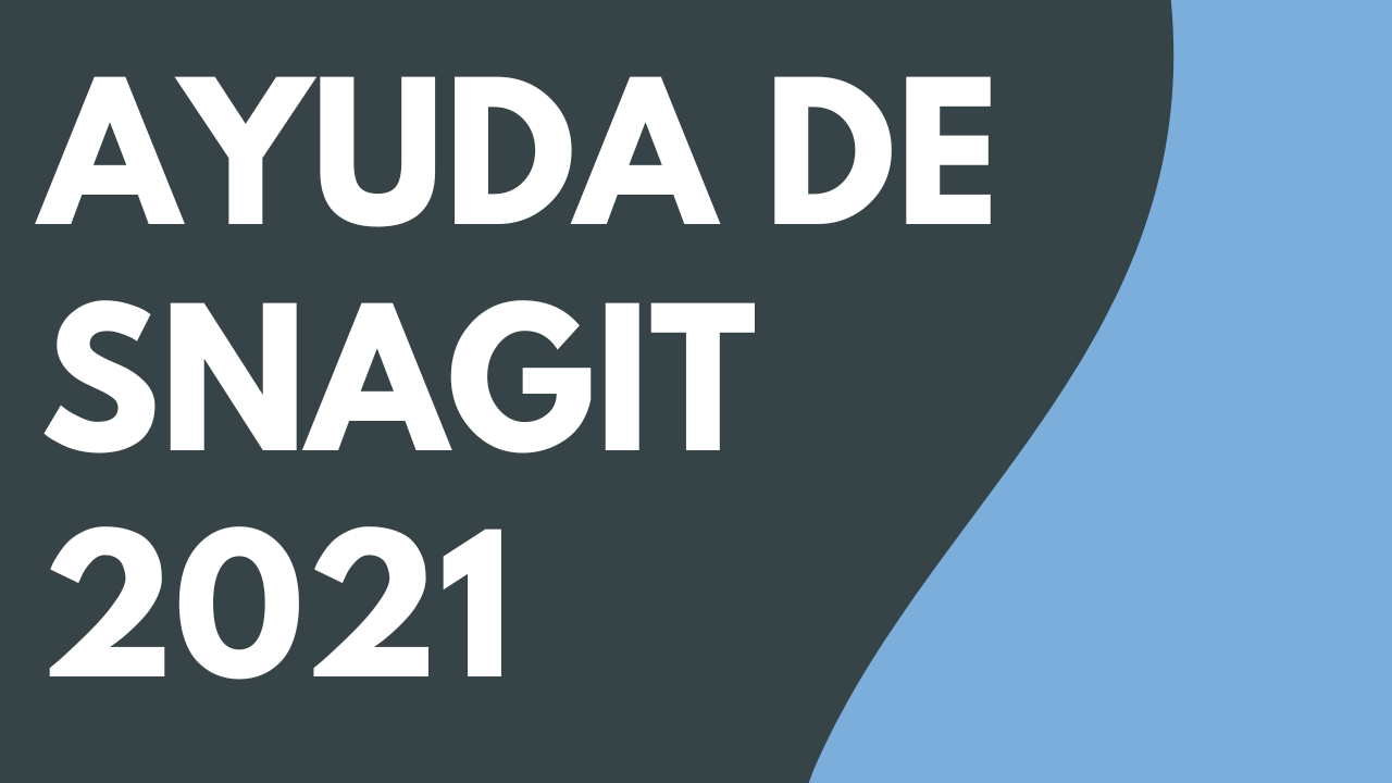 PDF de Ayuda de Snagit 2021