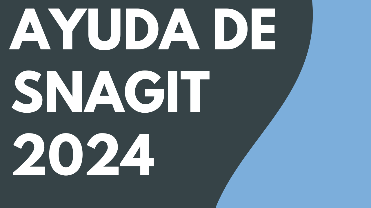 PDF de Ayuda de Snagit 2024